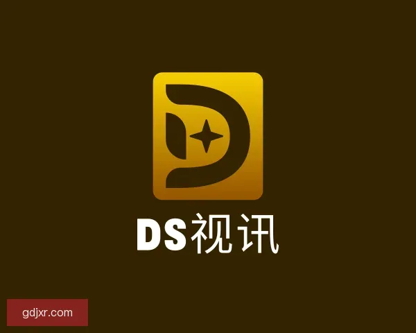 关于DS视讯
